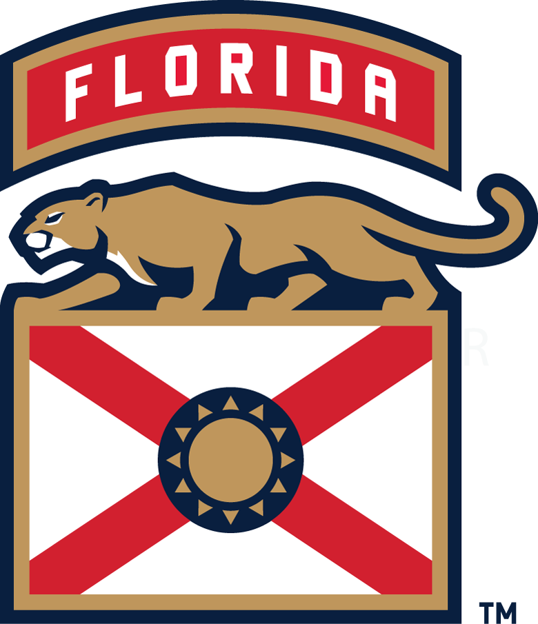 Florida Panthers 2016-Pres Alternate Logo t shirts DIY iron ons v3